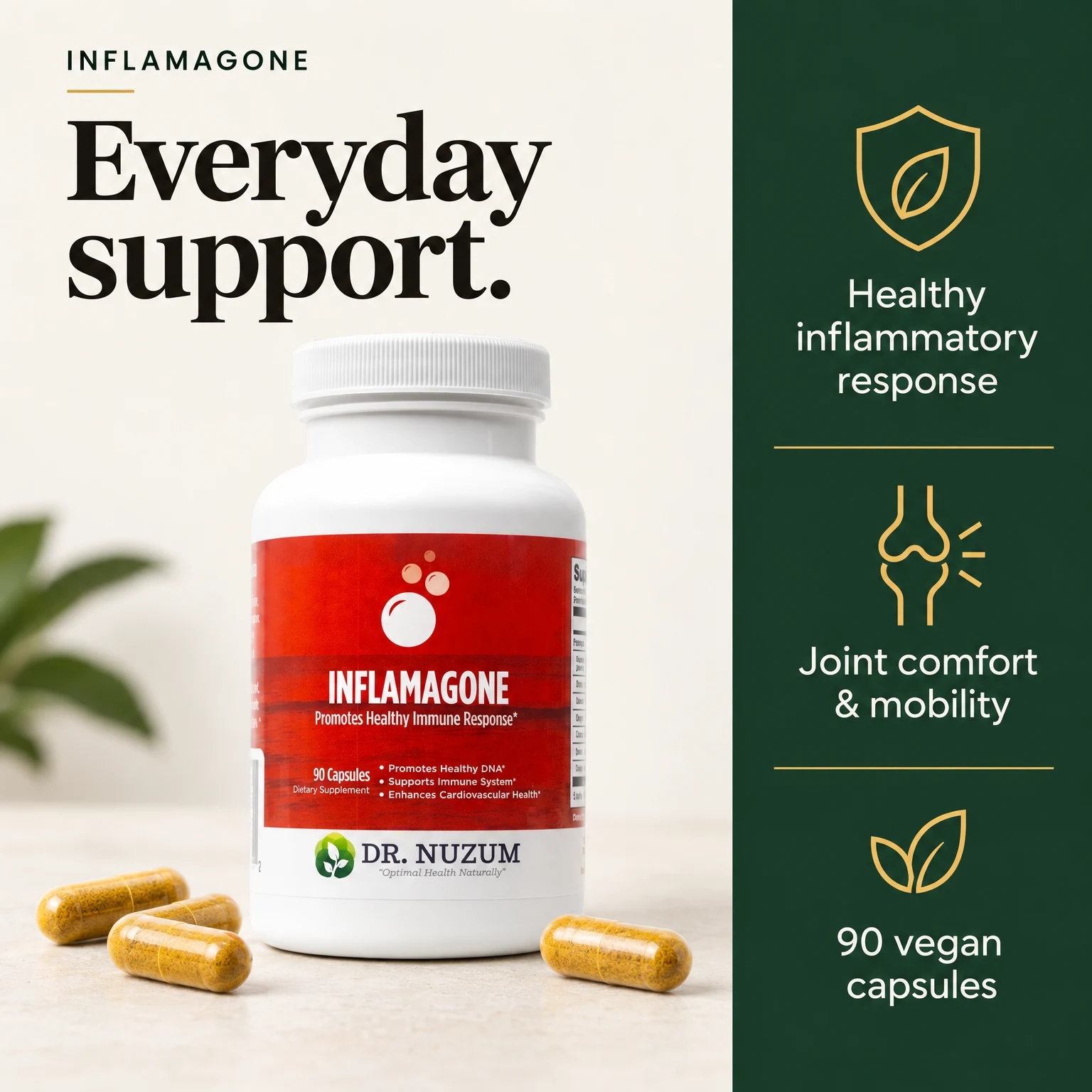 Everyday support. Inflamagone supports a healthy inflammatory response, joint comfort and mobility. 90 vegan capsules.