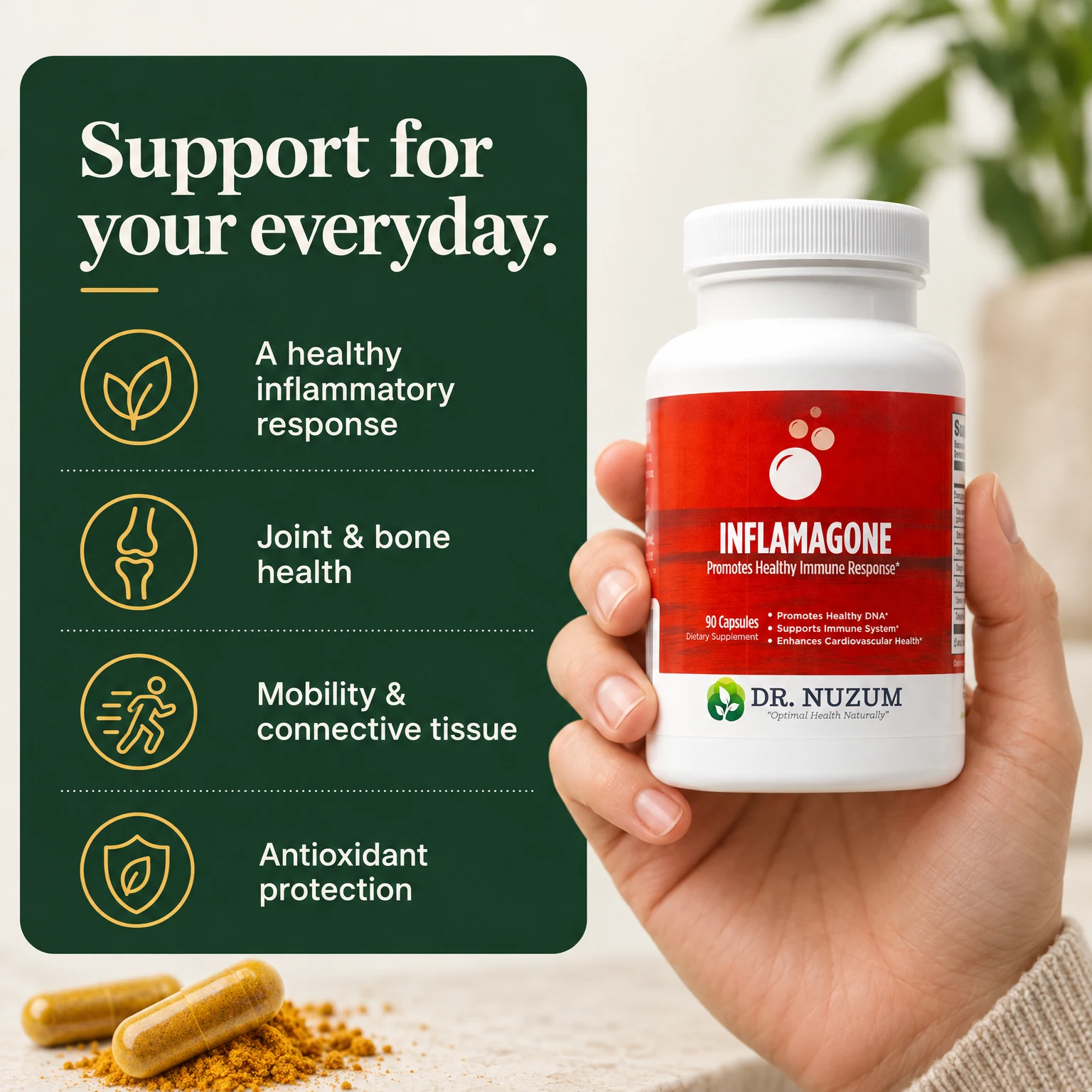 Support for your everyday: a healthy inflammatory response, joint and bone health, mobility and connective tissue, and antioxidant protection.